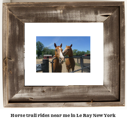 horse trail rides near me in Le Ray, New York